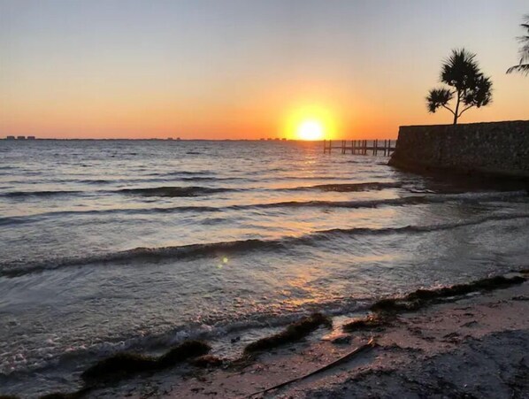Enjoy a tranquil beach experience with a serene ocean view, a wooden pier, and a palm tree.