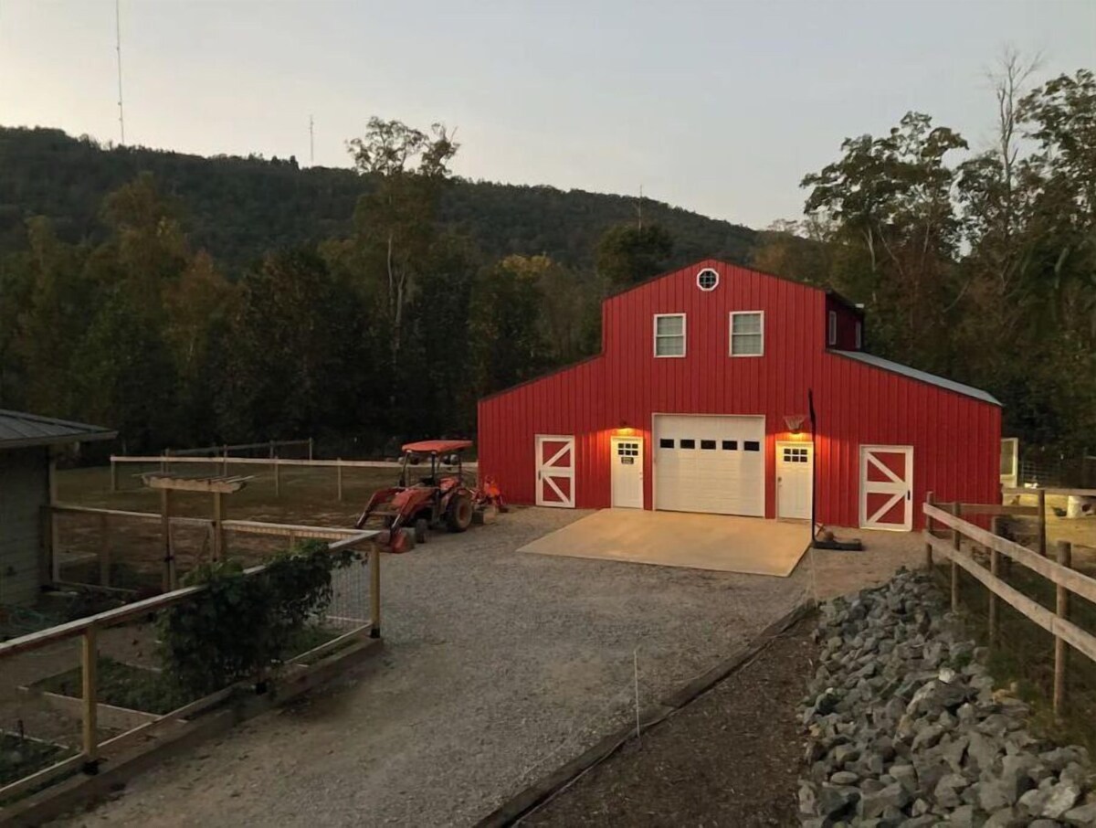 Imagen de perfil del propietario o de la propietaria