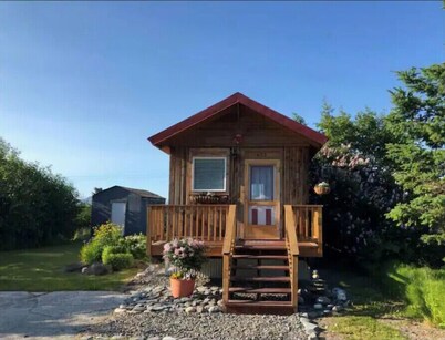 Homers Downtown Tiny House