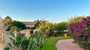 Un jardín bien cuidado con un sendero pavimentado, diversas plantas y un edificio al fondo.