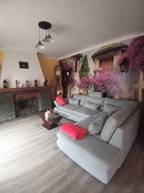 Smart TV, fireplace, DVD player, books
