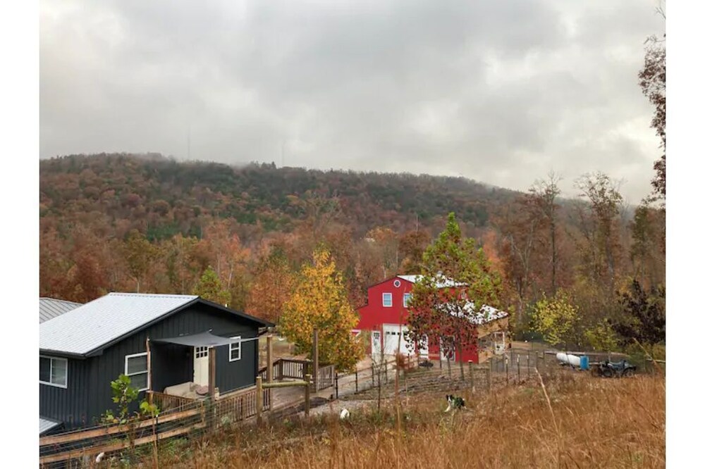 Hillside Retreat at Kelly Hollow Farm
