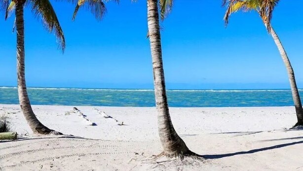 A beach with palm trees and a clear view of the ocean. - Solitude North Captiva, Carts, Dock, Private Pool, Club, Sleeps 12 (Captiva)
