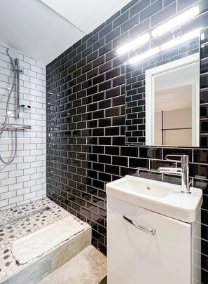 Shower, hair dryer, towels, shampoo - Hermès vieille ville romantique (Annecy)