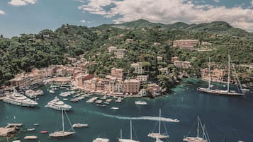 A coastal town with numerous boats docked in a marina, surrounded by lush green hills and historic buildings.