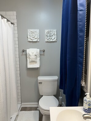 Douche, sĂšche-cheveux, serviettes fournies, savon