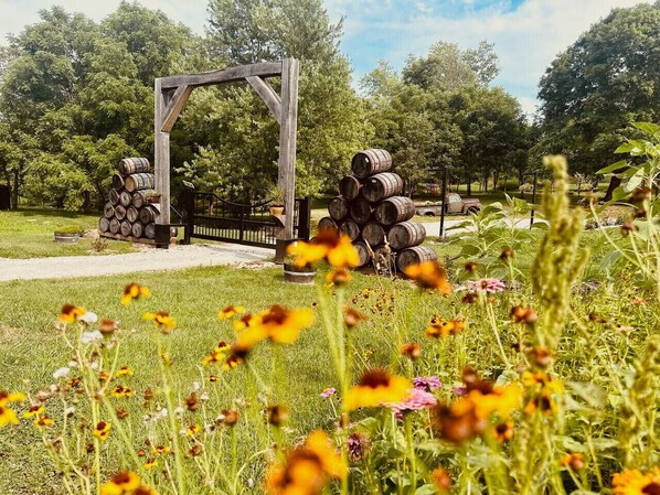 A rustic outdoor setting with a wooden pergola, barrels stacked on the ground, and a variety of wildflowers.
