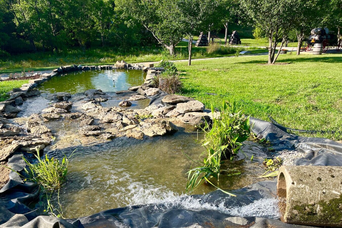 المنطقة المحيطة بالمنشأة