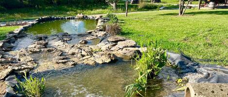 Àrea exterior de l'allotjament