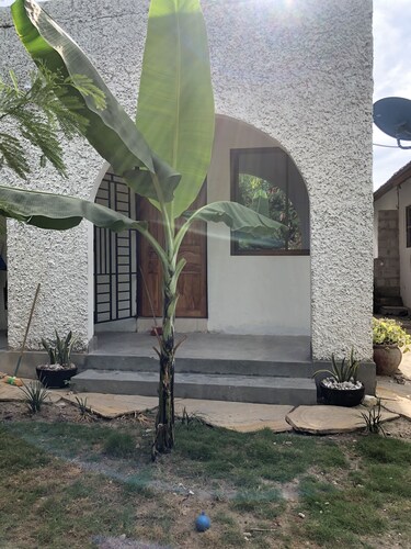 10 mins away from the beach! Family sized plantain house
