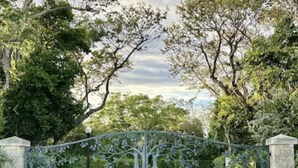 Une porte en métal ornée de motifs d’arbres, entourée de verdure et sous un ciel dégagé.