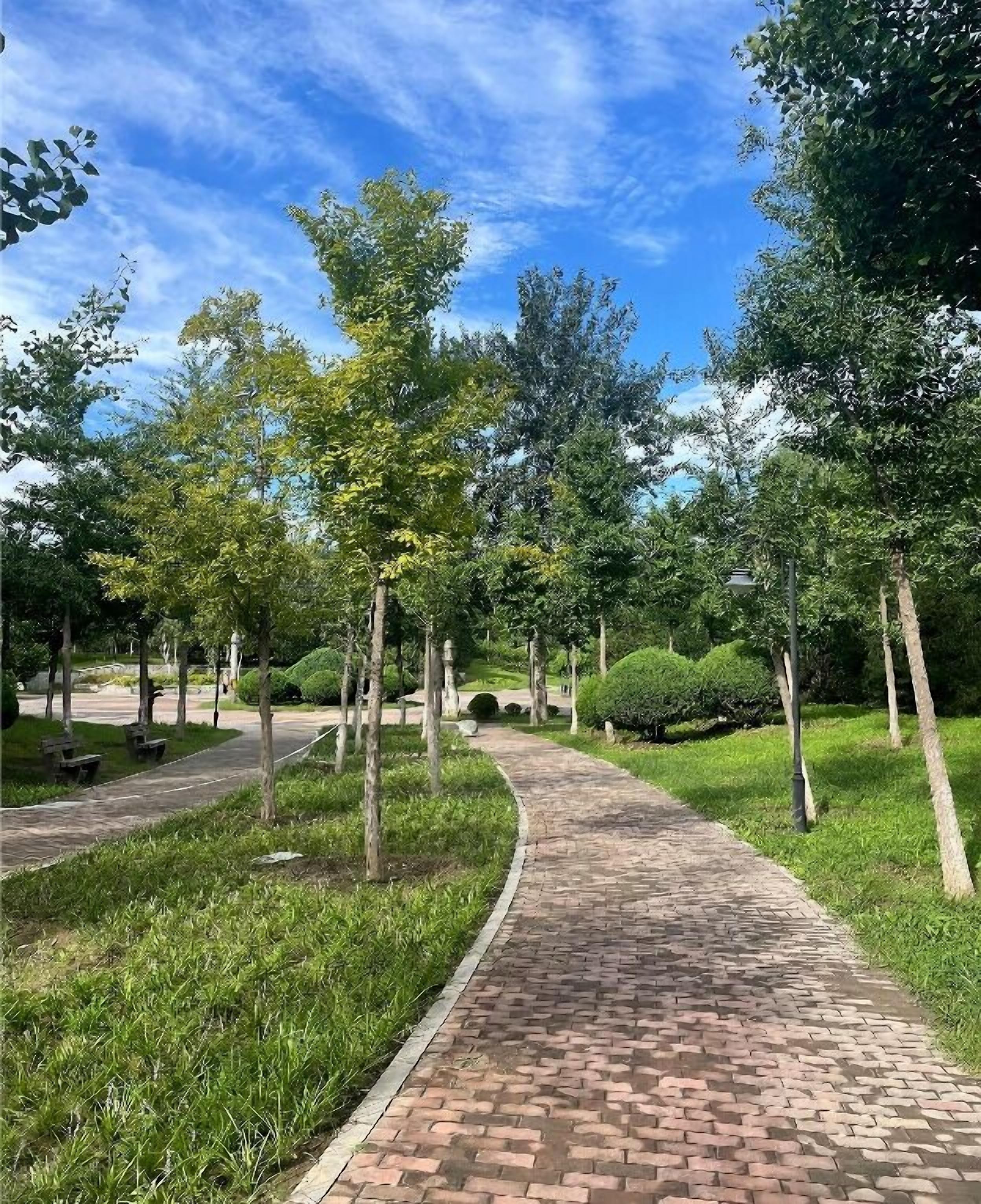A paved pathway in a park with trees and grass on either side.