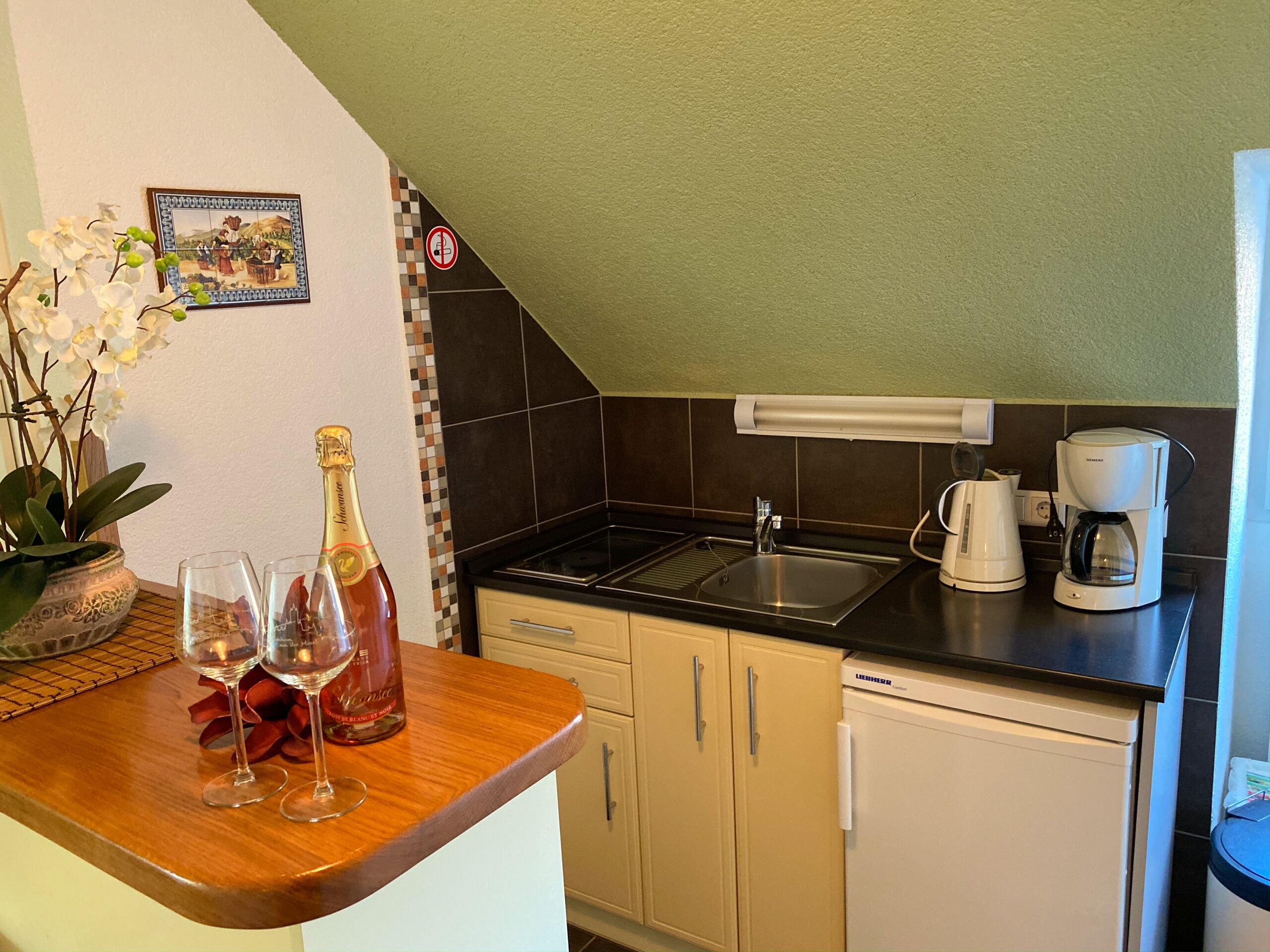 Studio Elbling with Moselle view