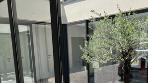 A modern building with large glass windows and a small tree in the foreground.