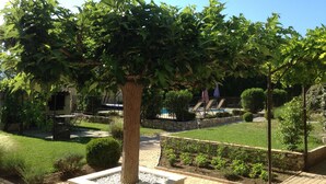 A garden with a large tree in a planter, a swimming pool, and a well-maintained lawn.