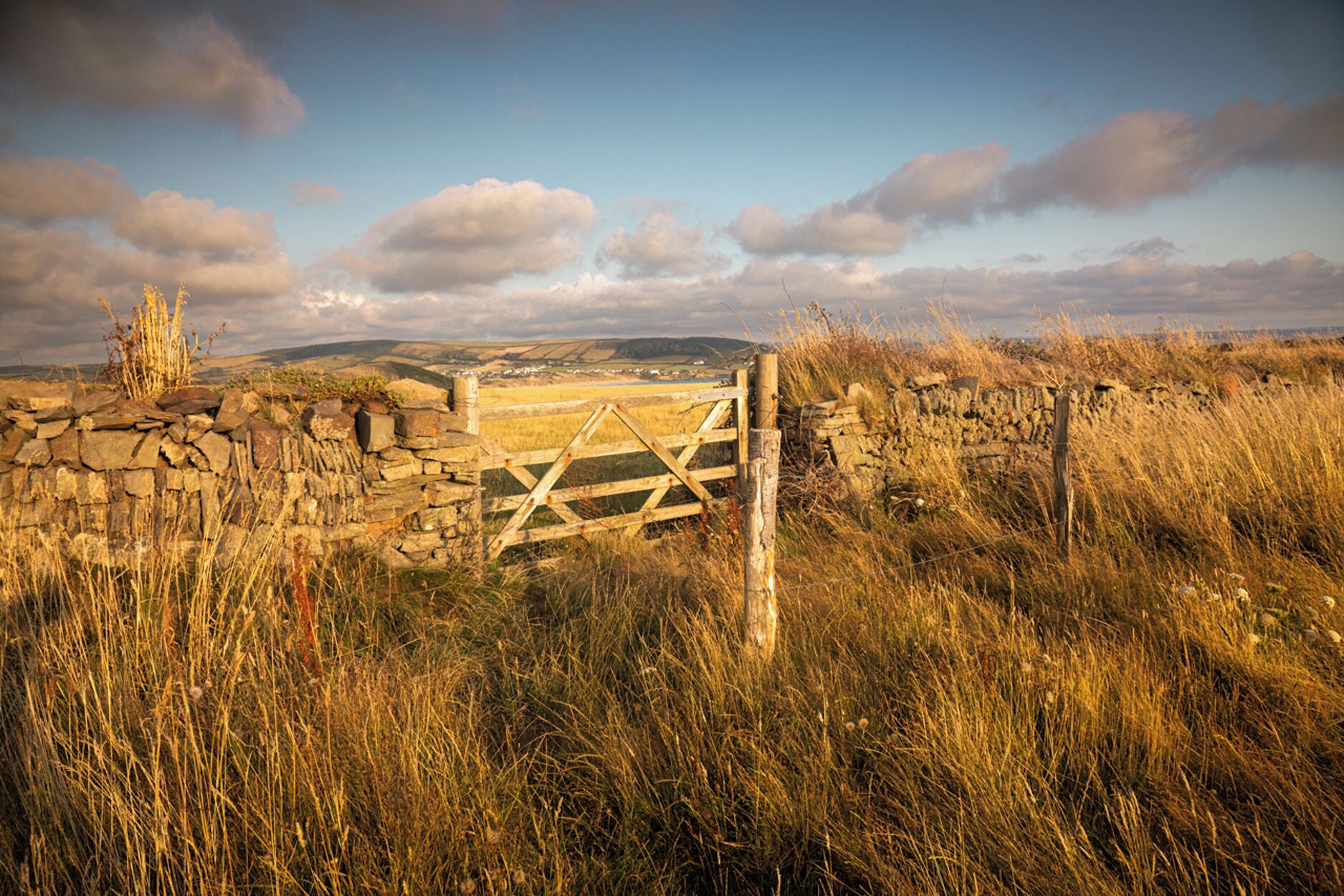 A rustic stone wall with a wooden gate in a grassy field.