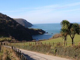 Una carretera costera con valla de madera, zonas verdes y vistas al mar y acantilados.
