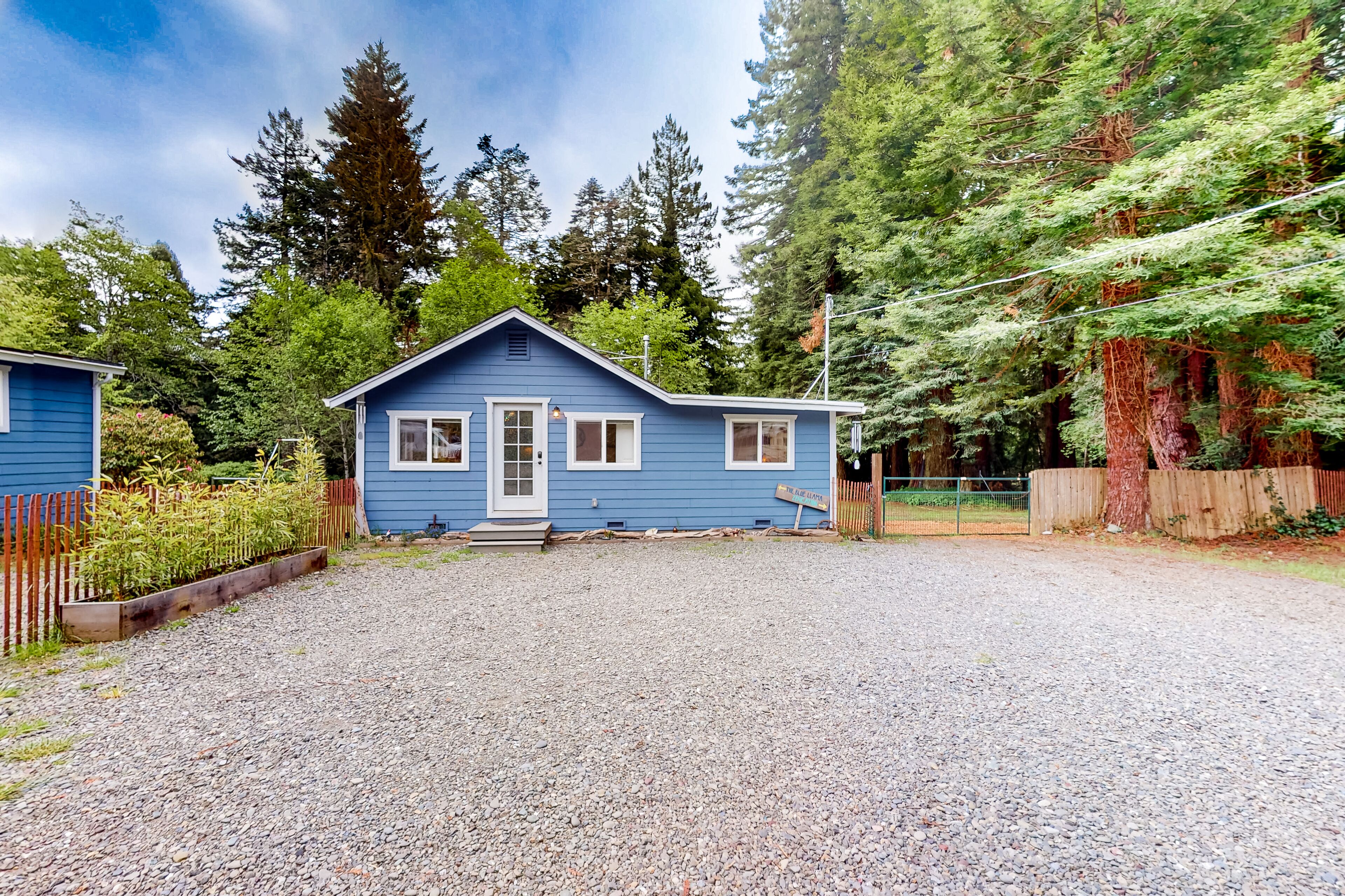 Comforting, dog-friendly cottage with yard, forest views, kitchen & washer/dryer