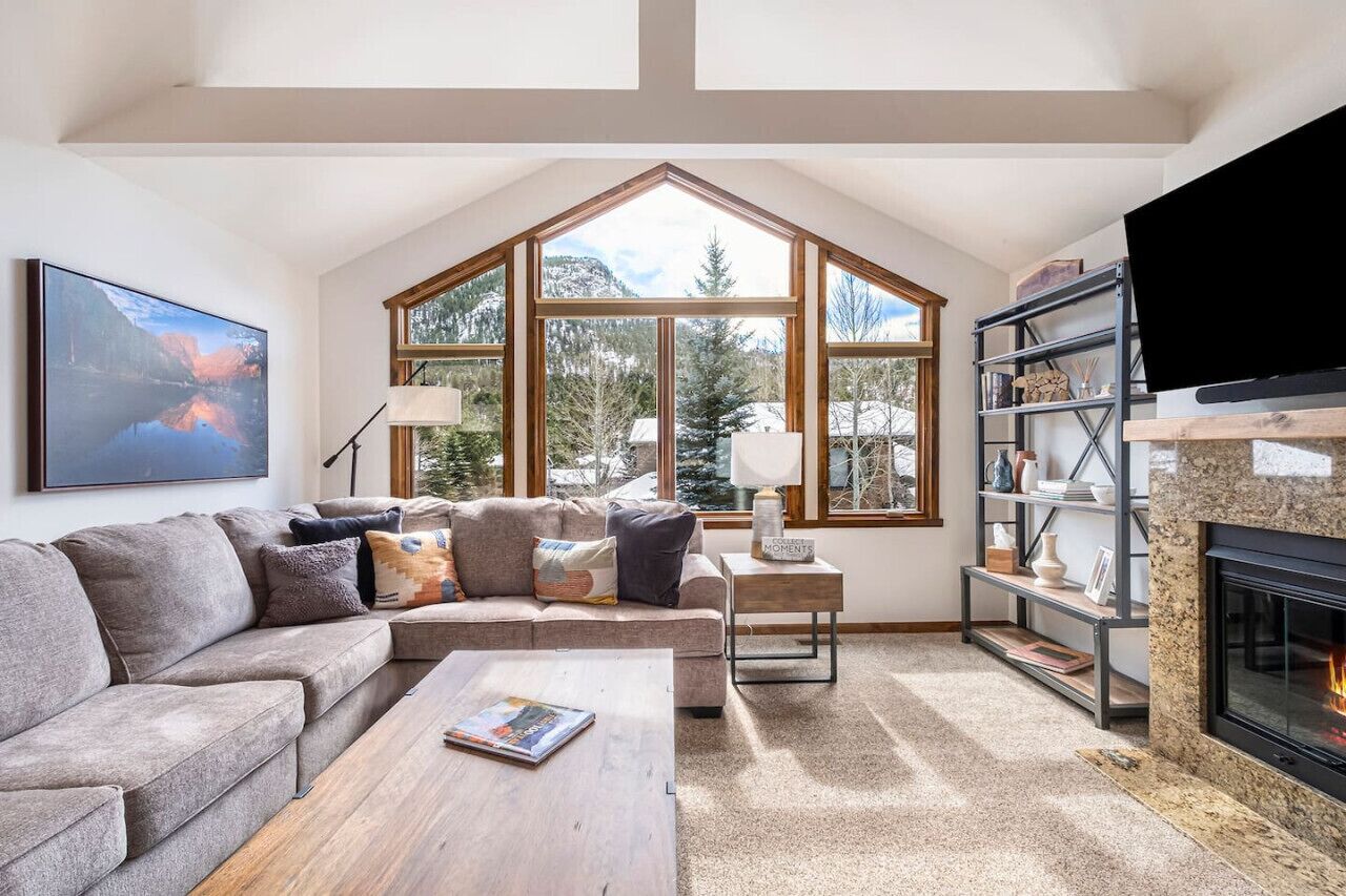 TV, fireplace, books