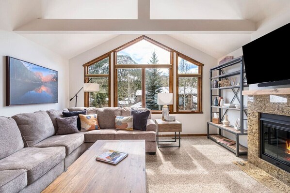 TV, fireplace, books