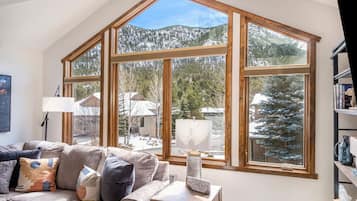 TV, fireplace, books