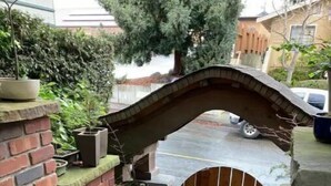 A brick staircase leading to a wooden gate, surrounded by a brick wall with potted plants. - Lida's House, Walk to Everything (Arcata)