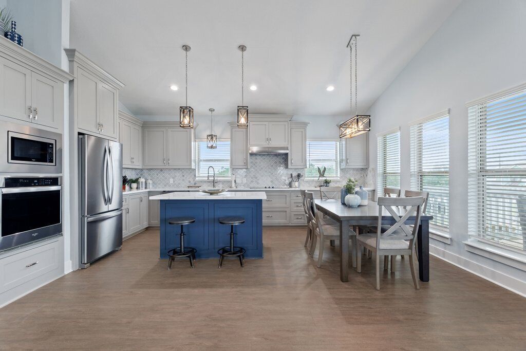 Gray Goose at the Water