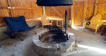 Tiny Cabin in Huron National Forest!