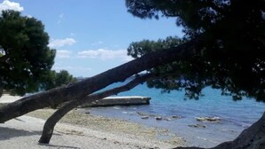 A beach with clear blue water, a sandy shore, and a large tree branch overhanging the water. - Lavanda Penthouse - Three Bedroom Apartment (Kastel Luksic)