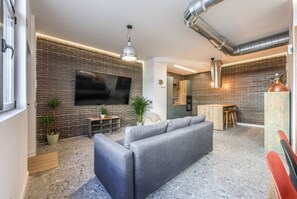 TV - loft reformado de diseño de alquiler temporal (Madrid)