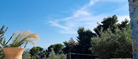 Alberca