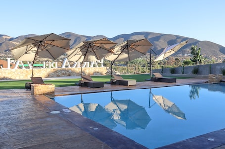 Outdoor pool, sun loungers