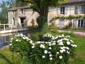 Un edificio rústico de piedra con un estanque y flores blancas en primer plano.