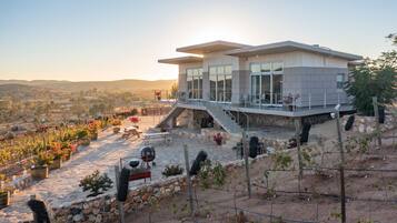 A modern house with a stone foundation, large windows, and a balcony overlooking a vineyard.