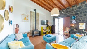 Un salón con pared de piedra, chimenea, televisor y sofá azul.