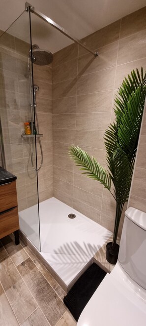 Dusche, Haartrockner, Handtücher, Seife