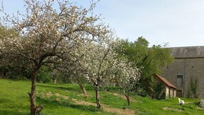 A grassy field with blooming trees and a stone building in the background. - A tastefully renovated farmhouse in the tranquil la Creuse department of France. (Fursac)