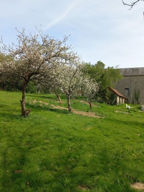 Áreas de la propiedad