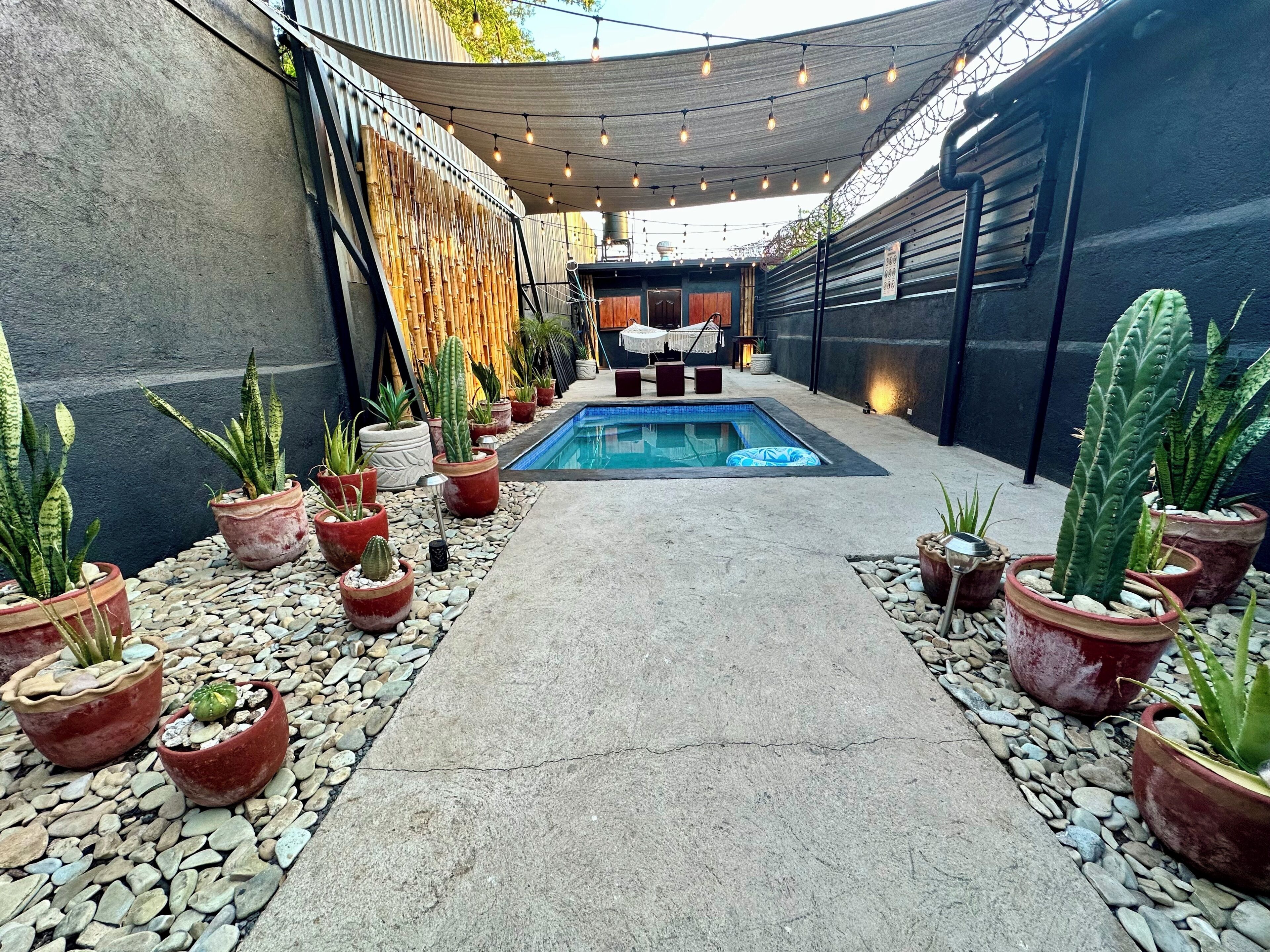 A pool area with potted cacti, a concrete pathway, and a covered seating area.