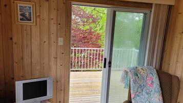 TV connectée, cheminée, lecteur de DVD, livres