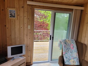 TV connectée, cheminée, lecteur de DVD, livres