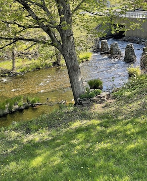 Property grounds - Beautifully updated, Cozy 3 bedroom 3 bathroom house. WATER VIEWS!! (Lake Luzerne)