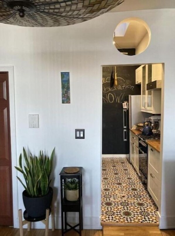 Horno, parrilla de estufa y artículos de limpieza ecológicos 