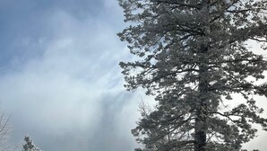 Une terrasse enneigée avec une table ronde et quatre chaises, entourée d’arbres chargés de neige et sous un ciel nuageux.