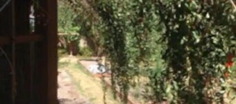 Pool and Hot Tub House West Linn, OR