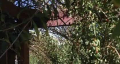 Pool and Hot Tub House West Linn, OR