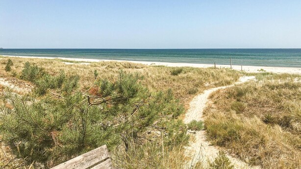 A beach with a sandy path leading to the water, surrounded by pine trees. - Stunning home in Borrby with WiFi (Borrby)