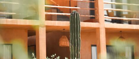 A building with multiple balconies and a cactus in the foreground.