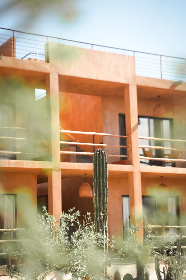 Front of property - Baja Temple (Todos Santos)