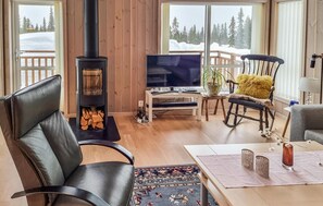 تلفزيون، مدفأة، ستيريو